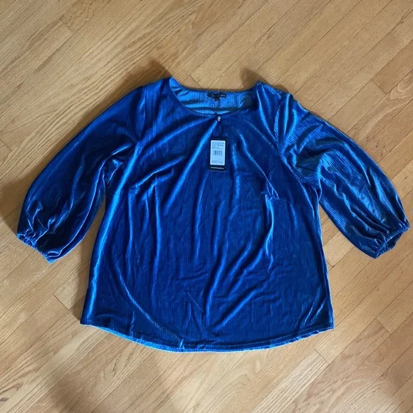 Adrianna Papell Pleated Velvet 3/4 Sleeve Top with 1X - Picture 2 of 5